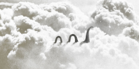 Nessie is in the …